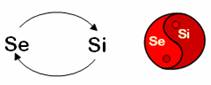 Recursive Nature of the Function-Attitudes