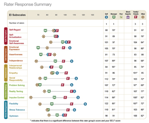 EQ360 Rater REsponse Summary Image